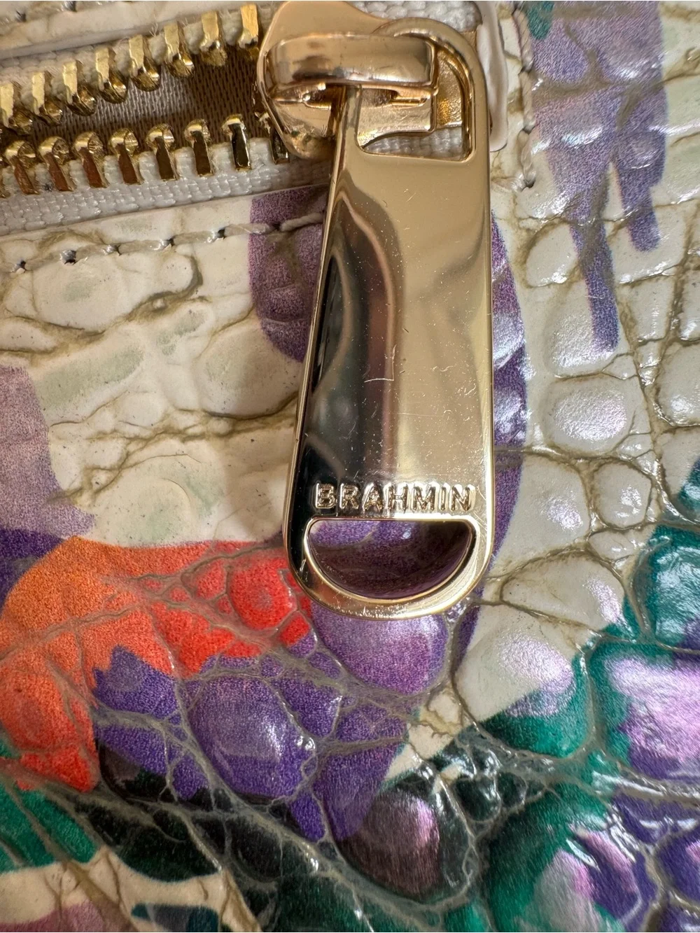 Brahmin Polina Multicolor Daylily Crossbody / Clutch / Wallet w/Chain Strap